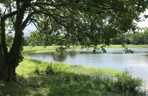 14 Clipper on the Bay - Foto 42