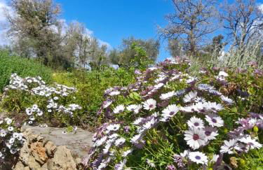 Jenny's Greek Villa - Foto 11