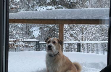 Calm House Krzynia - dom nad jeziorem do wynajęcia - Foto 52