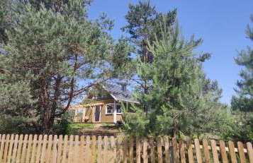 Zielony domek nad Marychą w Budwieć - Foto 9