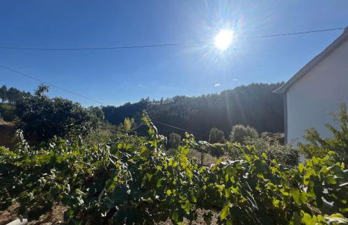 A Casa da Azenha - Foto 16