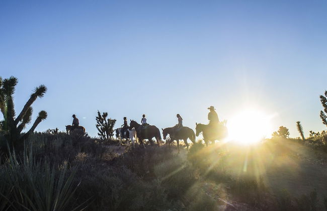 Grand Canyon Western Ranch - Foto 65