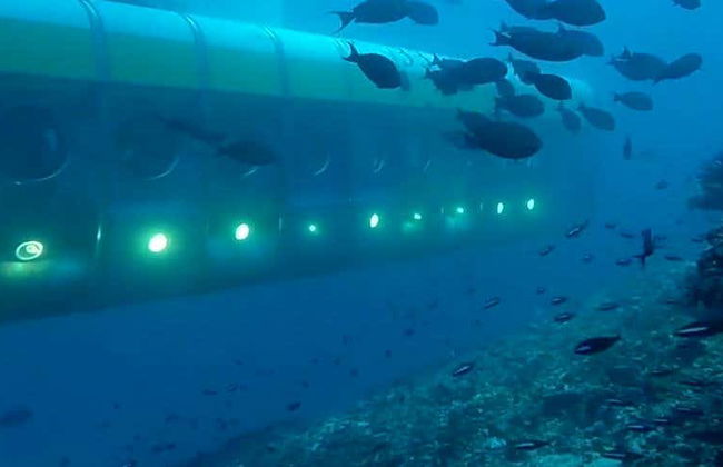 Paseo en submarino por Maafushi - Foto 1