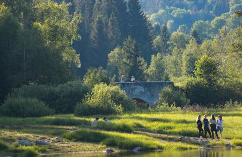 Gemütliches Ferienreihenhaus mit Holzkamin im Schwarzwald - Foto 15