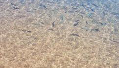 Appartamento BlueWater - Foto 2