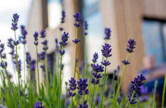 Stodoła Majołka- kameralny dom z balią w Izerach - Foto 61