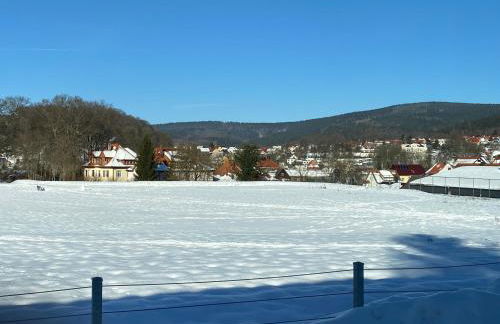 Apartment 1 - Foto 22