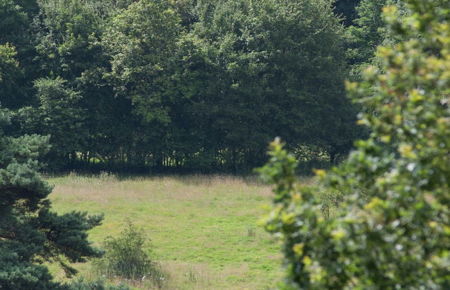 Well Furnished Chalet with Garden near Brunssummerheide - Photo 19