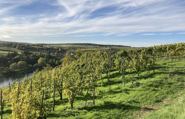 Apartment in Trittenheim With Terrace and Garden - Foto 29