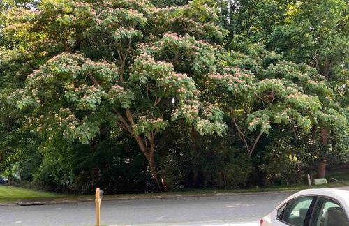 Copeland Château - Foto 58