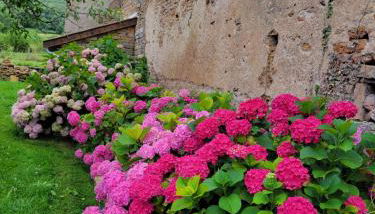 La Saugeraie - Foto 5