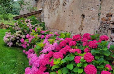 La Saugeraie - Foto 5