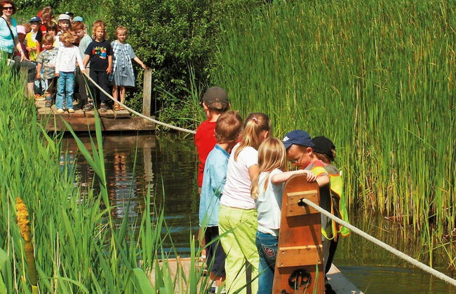 Holiday Home in Wendtorf - Foto 11