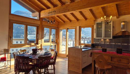 Sublime appartement avec terrasse - Centre BSM - Photo 3, stove