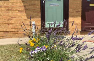 Cinque Ports Snug by Coaste - mins from Sea & Golf Course - Foto 13