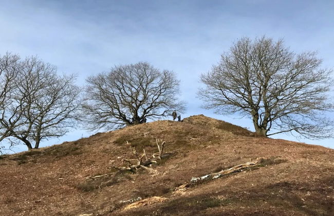 6 Person Holiday Home in Silkeborg - Foto 19