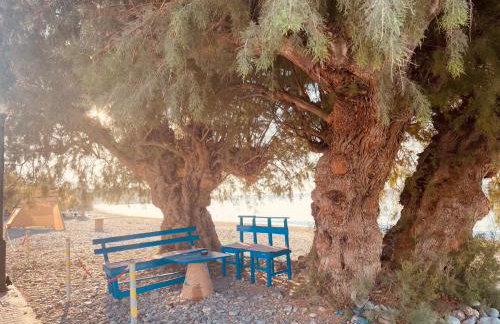 Makrigialos Long Beach Villa 5 - Foto 58