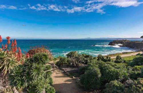 Monterey Bay Escape - Foto 9