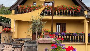 Gîtes Sipp Mack Vins d'Alsace - Foto 5