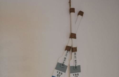 Ferienwohnung Ankerplatz in Schlagsdorf auf Fehmarn - Foto 2