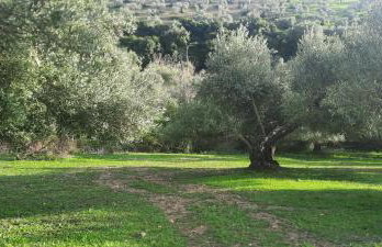Hacienda Molino Nuevo - Foto 44