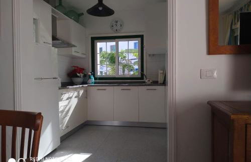 Caracola azul - Foto 26