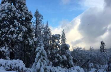 Uncle Grizz's Cabin...get intouch with nature - Foto 28