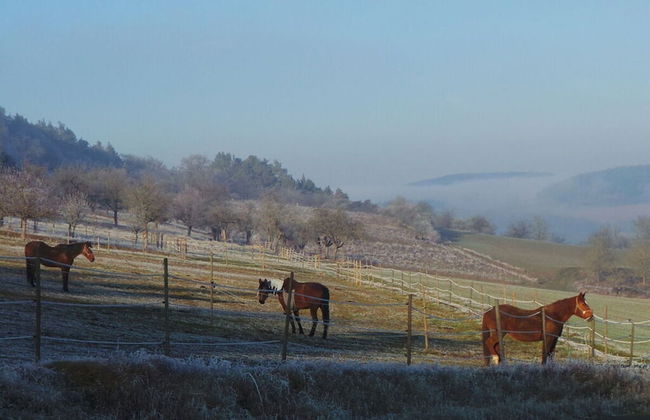 Apartment in Tauberbischofsheim - Foto 38