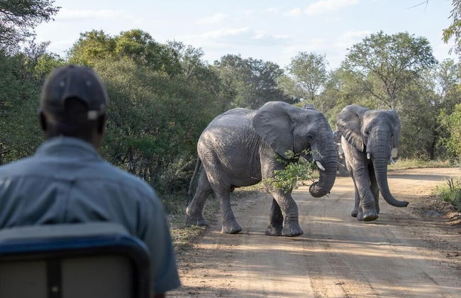 Ukanyi Luxury Villa - Foto 28