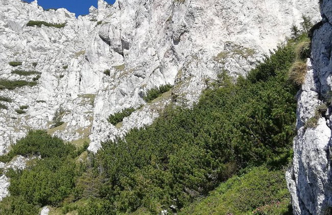 PRIVATE, MEDIUM Day Hike in Carpathian Mountains - Photo 12
