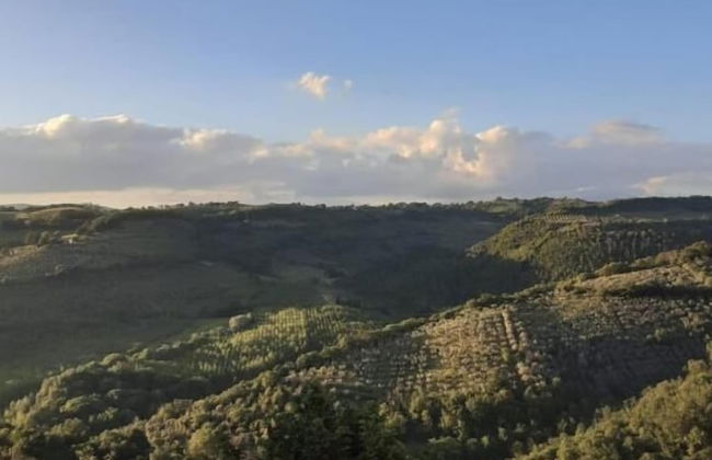 Atollo della Sabina - Foto 23