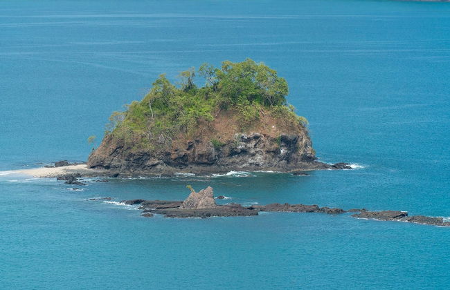 Ocean View Luxury Condo at Flamingo Towers - Photo 29