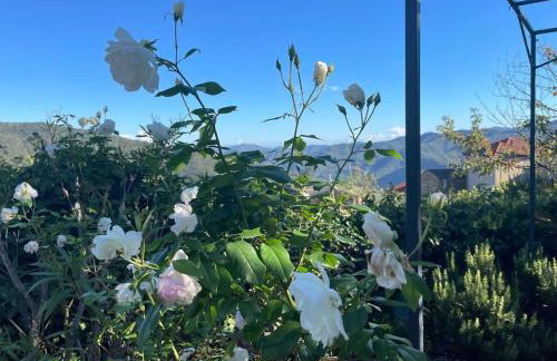 Ferienhaus Casa Pino mit eingezäuntem Garten in Ligurien zur Alleinnutzung - Foto 31