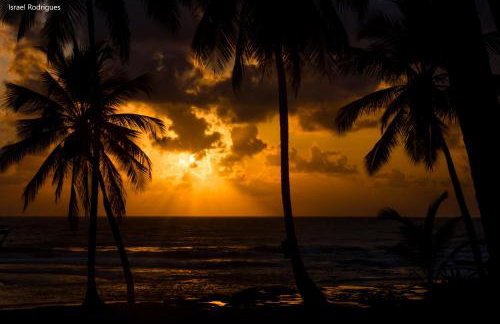 Brisa Brasil Residence - Foto 31