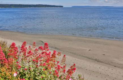 Beachfront Condo - Mutiny Bay by Avantstay Views - Foto 64