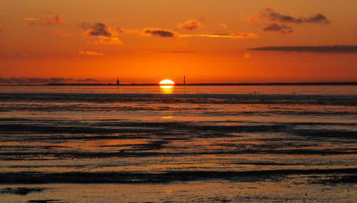 217 Schortens - Foto 5