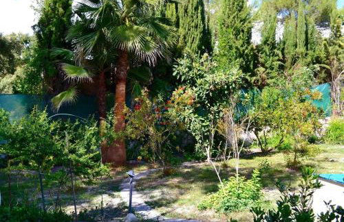 Casa Margarita - Photo 25