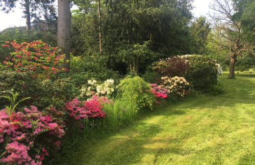 Oase der Ruhe - Foto 11