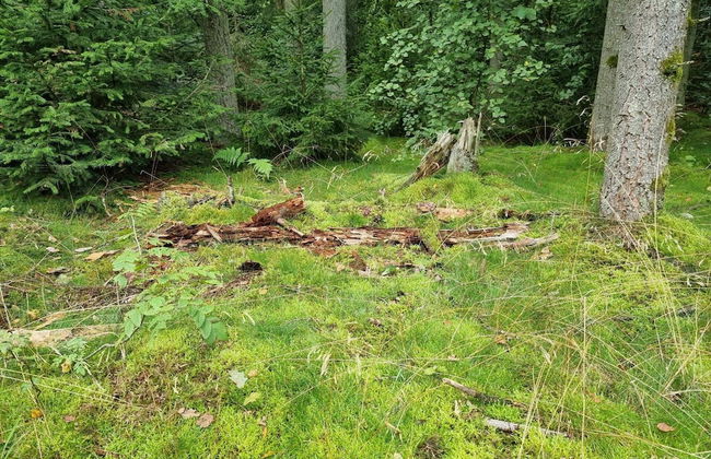 6 Person Holiday Home in Bryrup - Photo 18