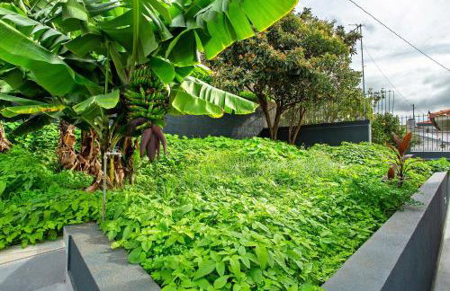 Villa Angela - Foto 37