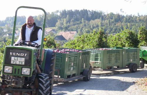 Ferien- und Obsthof Sonnenhalde - Foto 20