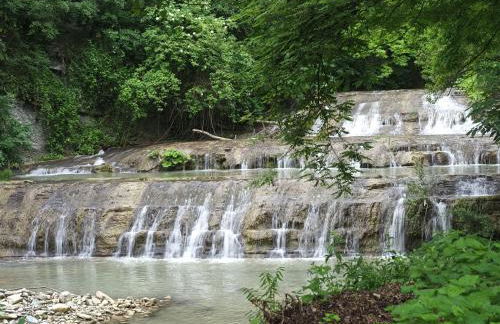 Agriturismo Sacchiafarm - Foto 36