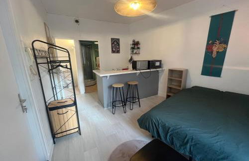 Studio meublé centre-ville Saint Junien - Foto 19