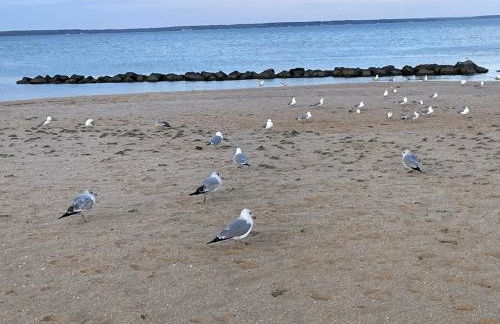 Our Happy Place in Colonial Beach - Foto 47