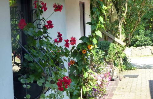 Ferienwohnung Am Walde - Photo 10