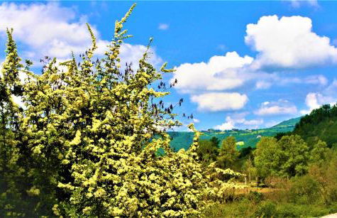 Agriturismo Malvista - Foto 48