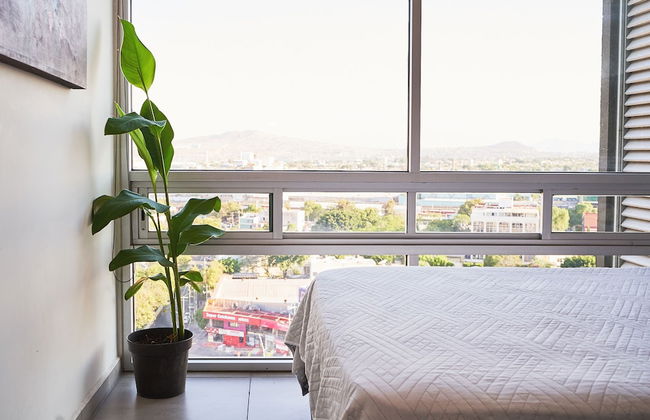 Dodo Horizontes Chapultepec - Foto 4