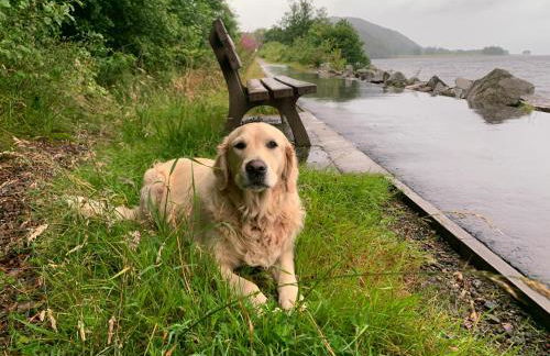 Loch Linnhe Waterfront Lodges with Hot Tubs - Foto 7