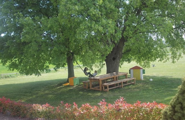 Agriturismo Bosco del Gal - Photo 49