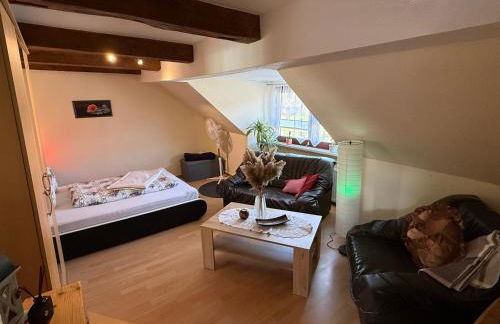 Schöne Ferienwohnung im Erholungsort Sternberg - Foto 15